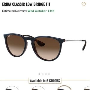 Dark Brown Matte Erika Rayban Sunglasses